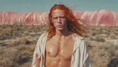 1girl,solo,long hair,brown hair,shirt,1boy,nipples,collarbone,closed eyes,white shirt,upper body,male focus,red hair,outdoors,parted lips,open clothes,day,orange hair,tree,lips,torn clothes,open shirt,blood,scar,messy hair,facing viewer,freckles,injury,mountain,realistic,torn shirt,looking at viewer,sky,facial hair,pectorals,blood on clothes,bare pectorals,dirty,desert