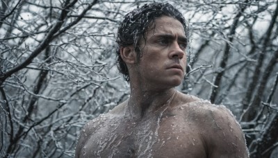 solo,short hair,black hair,1boy,closed mouth,upper body,male focus,nude,outdoors,blurry,black eyes,tree,nature,snow,forest,topless male,snowing,realistic,winter,bare tree,blue eyes,artist name,signature,water,hair bun,lips,wet,looking to the side,looking away,single hair bun,portrait