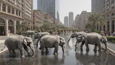 outdoors,sky,day,water,tree,no humans,animal,ground vehicle,building,scenery,motor vehicle,reflection,walking,rain,6+boys,dog,city,car,road,lamppost,horse,street,skyscraper,puddle,people,crosswalk,cow,real world location,multiple girls,multiple boys,oversized animal,elephant