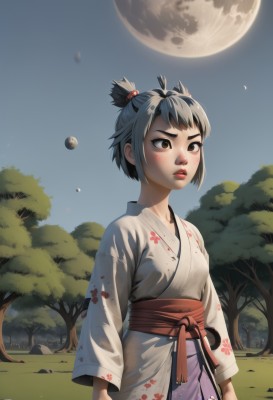 1girl,solo,blush,short hair,bangs,black hair,hair ornament,long sleeves,brown eyes,closed mouth,standing,grey hair,outdoors,japanese clothes,sky,artist name,kimono,tree,lips,sash,night,obi,floral print,moon,thick eyebrows,grass,full moon,short ponytail,white kimono,realistic,nose,topknot,cowboy shot,parted lips,day,freckles,yukata,arms at sides