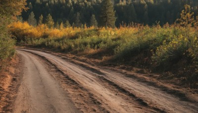 outdoors,day,signature,tree,no humans,traditional media,grass,nature,scenery,forest,road,bush,path,sunlight,plant,realistic,landscape