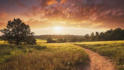 outdoors,sky,cloud,tree,no humans,sunlight,cloudy sky,grass,nature,scenery,forest,sunset,mountain,sun,horizon,road,field,evening,landscape,orange sky,path,hill,yellow sky,flower