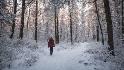 solo, 1boy, standing, male focus, boots, outdoors, from behind, tree, coat, nature, scenery, snow, forest, winter, red coat