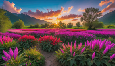 flower, outdoors, sky, cloud, tree, blue sky, no humans, cloudy sky, grass, nature, scenery, sunset, mountain, sun, road, field, landscape, mountainous horizon, path