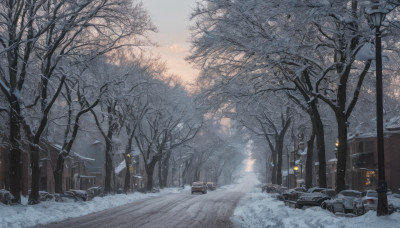 outdoors, sky, tree, no humans, ground vehicle, nature, scenery, motor vehicle, snow, forest, car, road, winter, lamppost, bare tree