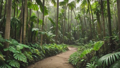 outdoors,day,tree,no humans,leaf,traditional media,sunlight,grass,plant,nature,scenery,forest,road,bush,bamboo,green theme,path