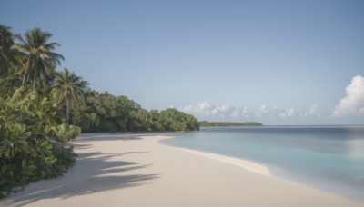 outdoors,sky,day,cloud,water,tree,blue sky,no humans,shadow,ocean,beach,plant,nature,scenery,sand,palm tree,horizon,bush,summer,forest,shore