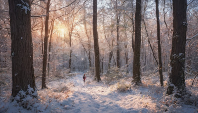 solo, standing, outdoors, cape, tree, sunlight, nature, scenery, snow, forest, red cape, winter, bare tree