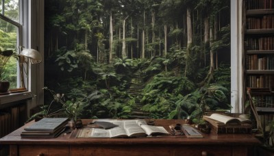 flower,day,indoors,tree,book,no humans,window,chair,table,sunlight,plant,nature,scenery,desk,forest,paper,bookshelf,pen,potted plant,lamp,shelf,book stack,open book