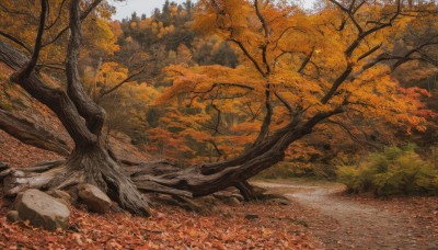 outdoors,day,tree,no humans,leaf,traditional media,grass,nature,scenery,forest,rock,road,autumn leaves,maple leaf,bare tree,autumn,path,sky,landscape