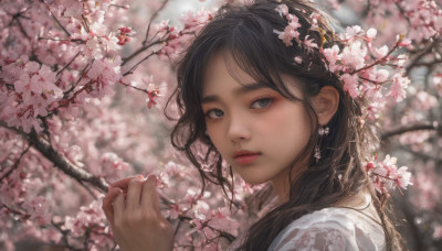 1girl, solo, long hair, looking at viewer, black hair, jewelry, closed mouth, upper body, flower, earrings, outdoors, hand up, blurry, black eyes, lips, depth of field, blurry background, thick eyebrows, cherry blossoms, portrait, realistic, nose, branch