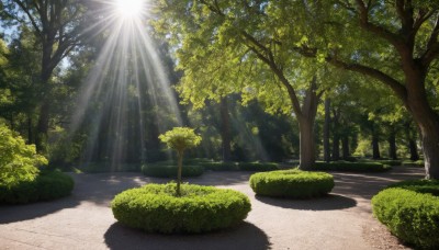 outdoors,sky,day,cloud,tree,blue sky,no humans,shadow,sunlight,grass,plant,nature,scenery,forest,light rays,sun,road,bush,sunbeam,path