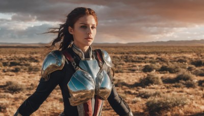 1girl,solo,long hair,blue eyes,brown hair,brown eyes,closed mouth,upper body,outdoors,sky,cloud,armor,blurry,lips,wind,shoulder armor,pauldrons,breastplate,realistic,looking afar,field,black hair