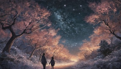 1girl,short hair,skirt,long sleeves,1boy,standing,outdoors,sky,cloud,bag,from behind,tree,dutch angle,night,holding hands,grass,star (sky),nature,night sky,scenery,light particles,snow,starry sky,walking,facing away,dark,winter,bare tree,black hair,pants,scarf,coat,forest,sunset