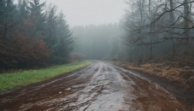 outdoors,sky,day,signature,tree,no humans,grass,nature,scenery,forest,mountain,road,bare tree,river,landscape,fog,path,cloud,cloudy sky,snow,realistic