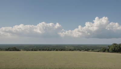 outdoors,sky,day,cloud,water,tree,blue sky,no humans,ocean,beach,grass,nature,scenery,sand,horizon,field,landscape,shore,cloudy sky,forest