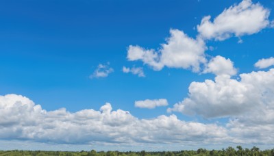 outdoors,sky,day,cloud,tree,blue sky,no humans,cloudy sky,grass,nature,scenery,forest,landscape,bird,horizon,field,summer,cumulonimbus cloud