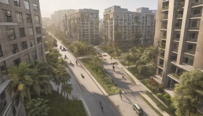 outdoors,sky,day,tree,no humans,window,shadow,bird,grass,plant,ground vehicle,building,scenery,motor vehicle,city,car,road,bush,cityscape,street,skyscraper,crosswalk,palm tree,truck,people