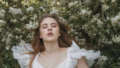 1girl,solo,long hair,looking at viewer,open mouth,brown hair,dress,collarbone,upper body,flower,outdoors,lying,parted lips,teeth,on back,white dress,mole,lips,leaf,plant,white flower,mole on breast,realistic,mole on neck,blue eyes,upper teeth only,portrait