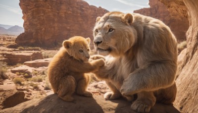 standing,outdoors,sky,day,signature,looking at another,tree,pokemon (creature),no humans,animal,scenery,mountain,realistic,lion,blue sky,rock,bear