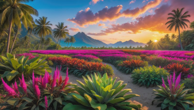 flower, outdoors, sky, cloud, tree, no humans, cloudy sky, grass, plant, nature, scenery, sunset, mountain, palm tree, sun, road, field