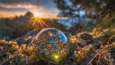 outdoors, sky, cloud, blurry, tree, no humans, depth of field, scenery, sun, planet