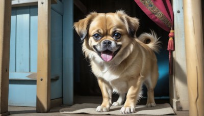 HQ,solo,looking at viewer,open mouth,blue eyes,brown eyes,full body,tongue,indoors,tongue out,no humans,window,animal,curtains,tassel,dog,realistic,door,animal focus,open door,doorway,standing,fangs