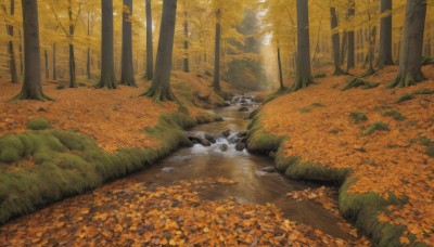 outdoors,day,water,tree,no humans,leaf,sunlight,grass,nature,scenery,forest,rock,autumn leaves,river,autumn,stream,road,bush,orange theme,path