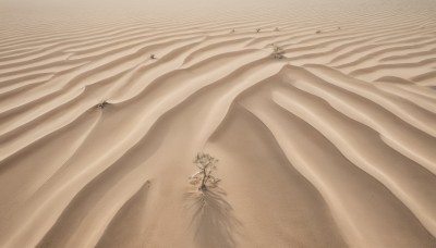 1girl,solo,outdoors,barefoot,water,beach,scenery,sand,wide shot,surreal,desert,monochrome,signature,no humans,plant,branch,sepia,brown theme,still life