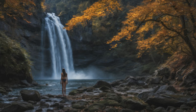 1girl, solo, long hair, black hair, swimsuit, bikini, outdoors, water, from behind, tree, nature, scenery, forest, facing away, waterfall