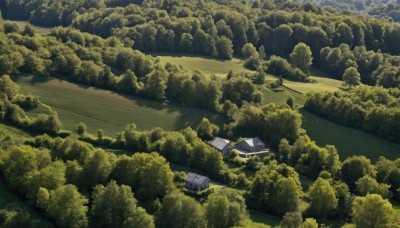 outdoors,sky,day,water,tree,no humans,grass,building,nature,scenery,forest,road,bush,house,green theme,river,landscape