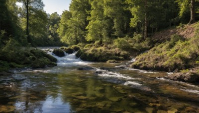 outdoors,day,water,tree,no humans,sunlight,nature,scenery,forest,reflection,river,waterfall,landscape,lake,sky,cloud,signature,blue sky,rock