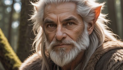 solo,long hair,looking at viewer,1boy,animal ears,brown eyes,closed mouth,white hair,male focus,cat ears,blurry,fur trim,depth of field,blurry background,facial hair,facial mark,portrait,beard,realistic,old,old man,fur,outdoors,pointy ears,lips,scar,messy hair,scar on face,close-up,nose,scar across eye,bokeh,wrinkled skin