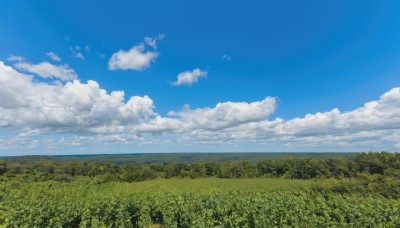 outdoors,sky,day,cloud,water,tree,blue sky,no humans,ocean,cloudy sky,grass,nature,scenery,forest,horizon,field,landscape,summer,hill