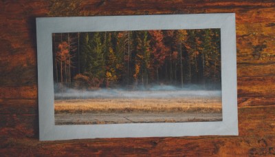 outdoors,tree,no humans,leaf,traditional media,grass,nature,scenery,forest,autumn leaves,photo (object),maple leaf,autumn,fog,path,field