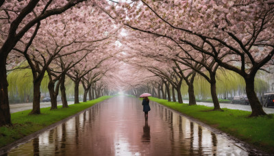 1girl, solo, skirt, holding, outdoors, day, bag, from behind, tree, dutch angle, umbrella, grass, cherry blossoms, ground vehicle, scenery, motor vehicle, reflection, holding umbrella, car, road, puddle