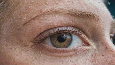 solo,looking at viewer,1boy,brown eyes,yellow eyes,male focus,blurry,eyelashes,close-up,1other,reflection,realistic,eye focus,no humans,portrait