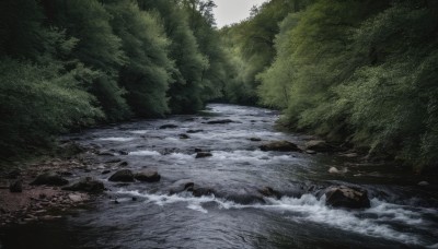 outdoors,day,water,tree,no humans,nature,scenery,forest,rock,river,stream,sky,cloud,sunlight