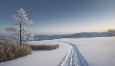 outdoors,sky,day,tree,blue sky,no humans,nature,scenery,snow,mountain,horizon,winter,bare tree,landscape,mountainous horizon,pine tree,cloud,water,ocean,beach,grass,plant,sunset,sand,sun,road,gradient sky,shore