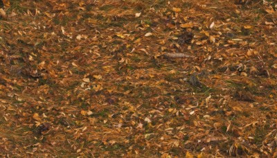 1girl,solo,black hair,1boy,outdoors,tree,leaf,from above,traditional media,nature,scenery,forest,autumn leaves,autumn,orange theme,no humans,road,cityscape,field,yellow theme,landscape