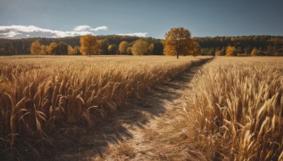 outdoors,sky,day,cloud,tree,blue sky,no humans,traditional media,grass,plant,nature,scenery,forest,field,landscape,cloudy sky,mountain,hill,wheat