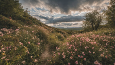 flower, outdoors, sky, cloud, tree, no humans, cloudy sky, grass, nature, scenery, pink flower, field, flower field, landscape