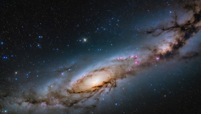 outdoors,sky,cloud,star (symbol),tree,no humans,night,cherry blossoms,star (sky),night sky,scenery,starry sky,branch,galaxy,milky way,dutch angle,plant,nature,space,landscape