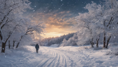 1girl, solo, standing, outdoors, sky, cloud, from behind, tree, cloudy sky, star (sky), nature, scenery, snow, forest, starry sky, snowing, winter, bare tree, footprints