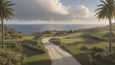 outdoors,sky,day,cloud,water,tree,blue sky,no humans,ocean,beach,grass,nature,scenery,forest,sand,palm tree,horizon,road,landscape,shore,plant,bush,island