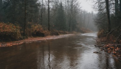 outdoors,water,tree,no humans,leaf,nature,scenery,forest,reflection,road,autumn leaves,bare tree,autumn,fog,sky,grass,river,landscape,lake,stream