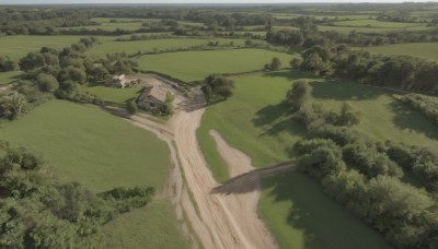 outdoors,day,tree,no humans,shadow,bird,from above,grass,nature,scenery,forest,road,green theme,river,landscape,path,sky,building,bush,field,house