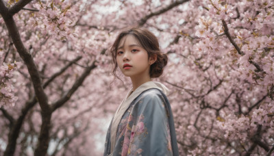 1girl, solo, brown hair, brown eyes, jewelry, upper body, flower, earrings, outdoors, parted lips, japanese clothes, day, kimono, hair bun, blurry, tree, lips, single hair bun, looking up, cherry blossoms, realistic