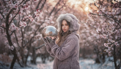 1girl, solo, long hair, looking at viewer, blue eyes, brown hair, gloves, hood, tree, coat, cherry blossoms, realistic, planet, earth (planet)