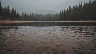 outdoors,sky,day,cloud,water,tree,no humans,grass,nature,scenery,snow,forest,reflection,snowing,mountain,road,winter,bare tree,river,landscape,lake,grey sky,pine tree,rain,puddle